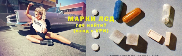 трава Бородино