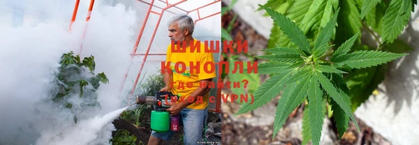 трава Бородино