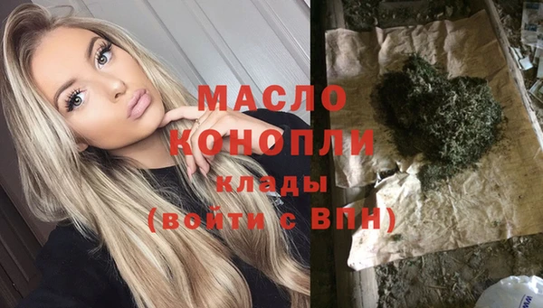дживик Верхний Тагил
