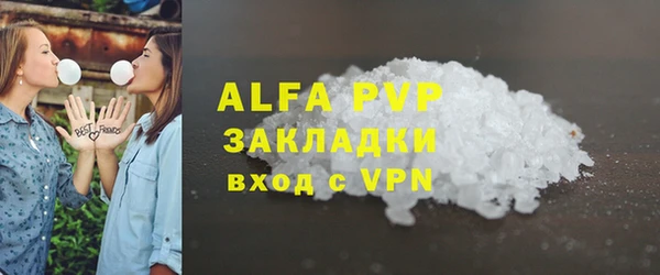 соль ск Новозыбков