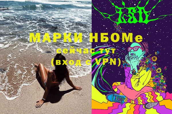 трава Бородино