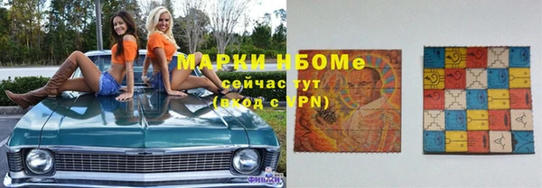 соль ск Новозыбков