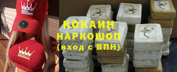 дживик Верхний Тагил