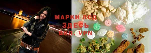 трава Бородино