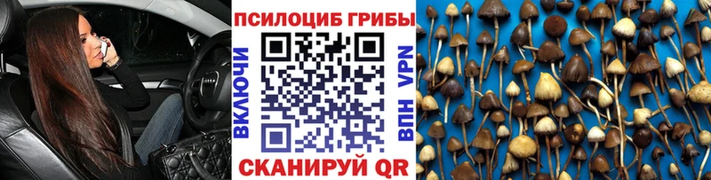 цены   Горнозаводск  Галлюциногенные грибы мухоморы 